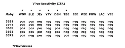 Anti-West Nile virus Envelope antibody [3671] used in  (). GTX36805